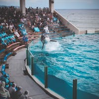 千葉県
鴨川シーワールド