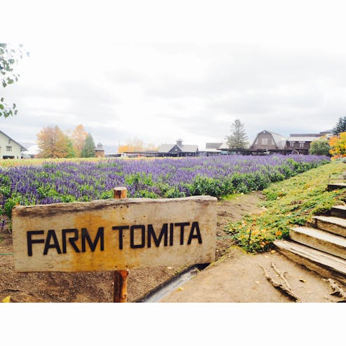 ファーム富田