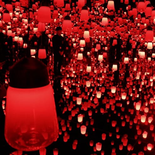 【閉業】森ビルデジタルアートミュージアム エプソンチームラボ ボーダレス