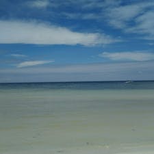 もう、美しすぎて…