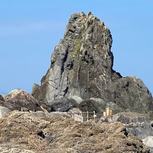 室戸ユネスコ世界ジオパーク ジオパーク
ビシャゴ岩

マグマが地層に入り込んだあと。約1400万年前、マグマが地層に貫入して固まったとされる岩。水平に貫入したものがその後の地殻変動により、ほぼ垂直に回転したもの。山側から海側に向かって順番に細かい粒～粗い粒とマグマが冷やされるのにかかった時間の長さによって模様が移り変る。この岩には「おさご」という絶世の美女にまつわる伝説もある。ただの岩だと思ったら大間違いなのだ。

#四国　#サント船長の写真
