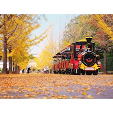 久々投稿、、
2020/10/29 黄葉ドライブ

#秩父ミューズパーク
#イチョウ並木
#黄葉
#紅葉