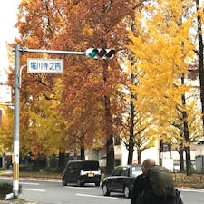 京都銀杏並木

堀川通のイチョウ並木は堀川寺の内辺りから、中央分離帯を歩くとよいでしょう。上から堀川通のイチョウ並木を眺めるのなら、歩道橋からが美しく見えます。カーブに沿って並ぶイチョウ並木が最高ですね♪

#京都　#銀杏　#サント船長の写真
#紅葉