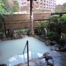 仙石原温泉の宿は、やまざくらにしました。以前は予約制だった露天風呂が、空いている時なら好きなだけ入れるシステムになっていました。