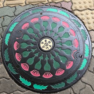 ぎざぎざあざみ　富山