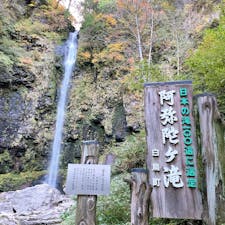 想像よりデカかった！
人おらんしめっちゃ見れたの良かったけど寒かった😨

#阿弥陀ヶ滝　#日本の滝100選　#岐阜