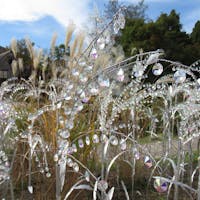 箱根ガラスの森美術館は、庭にも作品が多数あって楽しめます。ガラスが日光に当たってキラキラ輝いて、綺麗ですよ。