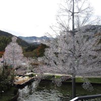 ガラスの森美術館の庭園の一部分です。白く見えるのは、全部ガラスです。こんな作品がたくさんあります。