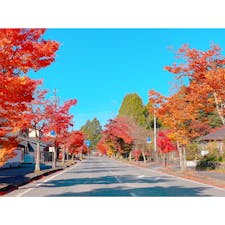 2週間ぶりの軽井沢♡

紅葉すすんでいた🍁