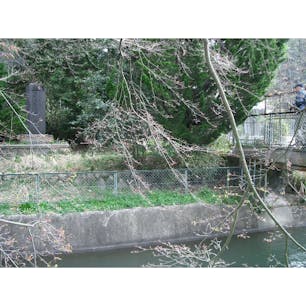 日本最古の鉄筋コンクリート製の橋



#京都　#全国橋巡り　#サント船長の写真　#日本最古