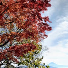 山梨
清泉寮　
ここにくると絶対　ソフトクリームを食べたくなります　　　牛乳も人気🥛