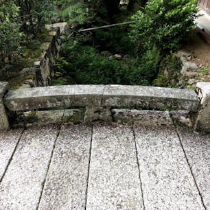 勝林寺 (三途川の橋)

三途の川がある勝林寺とは、
寂源法師が長和2年(1013)に開かれた日本音楽の源である天台声明（しょうみょう）発祥の寺である。本尊は「大原問答」の時手から光明を放ち法然が正しい証拠を示したとされる“証拠の阿弥陀”踏出阿弥陀如来、他にも十一面観音菩薩像、普賢菩薩像、法然上人御木像が祀られている。梵鐘（無銘）は藤原時代からのもので重要文化財になっている。

#京都　#全国橋巡り　#サント船長の写真　#三途の川