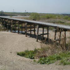 上津屋橋(流れ橋)①

上津屋橋は、日本の京都府久世郡久御山町と八幡市を結ぶ、木津川に架けられた木橋である。川が増水すると橋桁が流される構造を持つ流れ橋であることから、流れ橋、あるいは木津川流れ橋、八幡流れ橋などと呼ばれることもある。
尚流れ橋は日本100名橋に選ばれて居ます。

#京都　#全国橋巡り　#日本百名橋　#サント船長の写真
