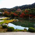 京都嵐山にある「天龍寺」。
紅葉も始まっています🍁
庭園に約1時間滞在してました✨