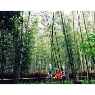 #京都
#嵐山竹林