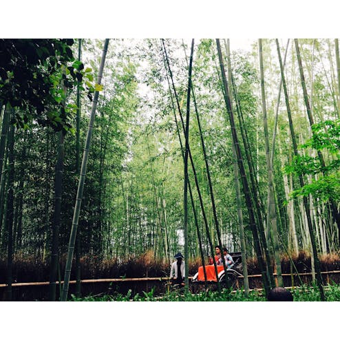 嵐山 竹林の小径