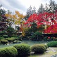 近所の「武田邸」に初訪問。
紅葉真っ盛りでした。
年に10日くらいだけ公開されていて、レア度は高い観光スポットかも？

#盛岡