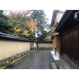 雨の武家屋敷通り。☔️