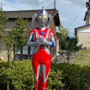 ウルトラの母です。