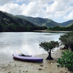 初の鹿児島県。GOTOで来てみました。
今度はもっとゆっくり巡ります。
#奄美大島 #マングローブ #カヤック