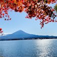 📍山梨県
 ✈︎ 2020.11

［ 河 口 湖 ］

もみじと富士山と河口湖。
快晴で湖面がきらっきら😭✨
湖沿いのもみじは所々真っ赤に染まってきていて、遊歩道の上からこの写真が撮れました📸