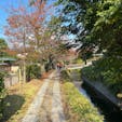 哲学の道

現在の「哲学の道」は、思想にふけるにピッタリの小径…のみならず、おもしろい発見だらけの不思議な散策路となっています。

#日本の道百選　#京都　#サント船長の写真