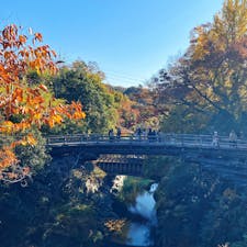 📍山梨県｜大月市
 ✈︎ 2020.11

［ 甲 斐 の 猿 橋 ］

日本三大奇橋のひとつ、甲斐の猿橋🐵
高さ31mと渓谷が深く脚がかけられないため、両側から張り出された4層の刎木によって支えられていて、釘を1本も使われていない珍しい構造なんだとか。
階段を登ったところにある「新猿橋」からの撮影がオススメ📸