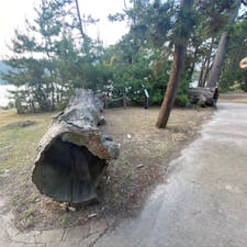 天橋立
此の地は剣客者岩見重太郎の決闘の地ですね。

天橋立の道の公園内はバイクなら原付ニ種(125cc)以下なら走れます。
京都府道607号天の橋立線
路線延長
3.2066 km
コロナ禍で歩く人もバイクも見かけませんでした。

#日本の道百選 #日本三景 #サント船長の写真　#京都
