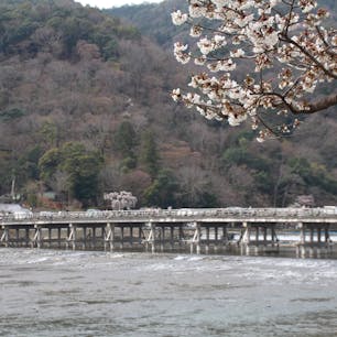 2020/03
#京都
#嵐山
#渡月橋