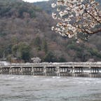 2020/03
#京都
#嵐山
#渡月橋