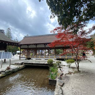 橋殿

橋は舞殿とか、橋殿と言われて居ます。
此の橋は見た感じ建物ですが、間違い無しの橋です。

#日本百名橋 #全国橋巡り　#サント船長の写真　#京都　#神社仏閣 #世界遺産