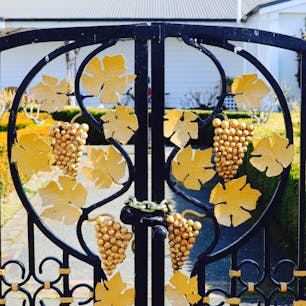 ニュージーランドの、ブレナムにあるワイナリーにて🍷