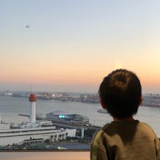 羽田空港✈️
東京港🚢
首都高🚗
ゆりかもめ🚆

客室からの眺望が4歳児興奮の乗り物天国