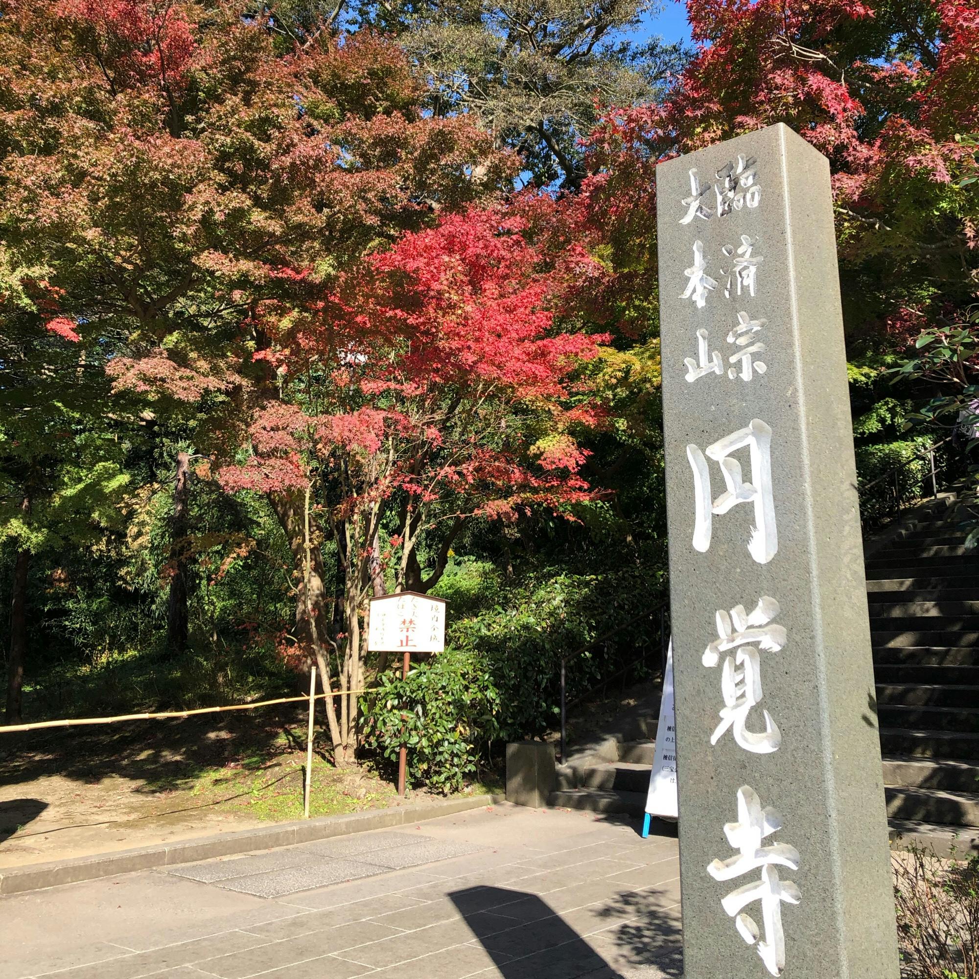 円覚寺の投稿写真 感想 みどころ 北鎌倉 円覚寺 11 14鎮護国家と トリップノート