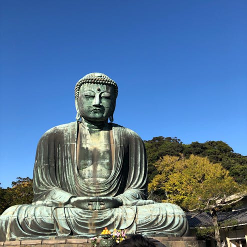 鎌倉の大仏 高徳院 の投稿写真 感想 みどころ 鎌倉 高徳院 大仏 11 14鎌倉大仏 トリップノート 鎌倉の大仏 高徳院 の投稿写真 感想 みどころ 鎌倉 高徳院 大仏 11 14鎌倉大仏 トリップノート