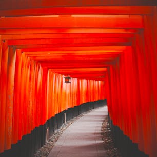 2020/03
#京都
#伏見稲荷大社