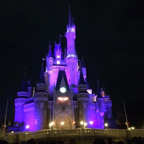 東京ディズニーランド