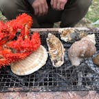 北海道 厚岸町  子野日公園
牡蠣、桜まつり
5月中旬から下旬に開催されます。
牡蠣はもちろん、花咲カニも🦀
新鮮で美味しいです。