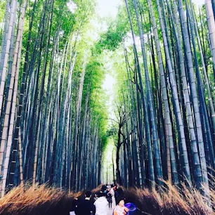 京都🍂嵐山