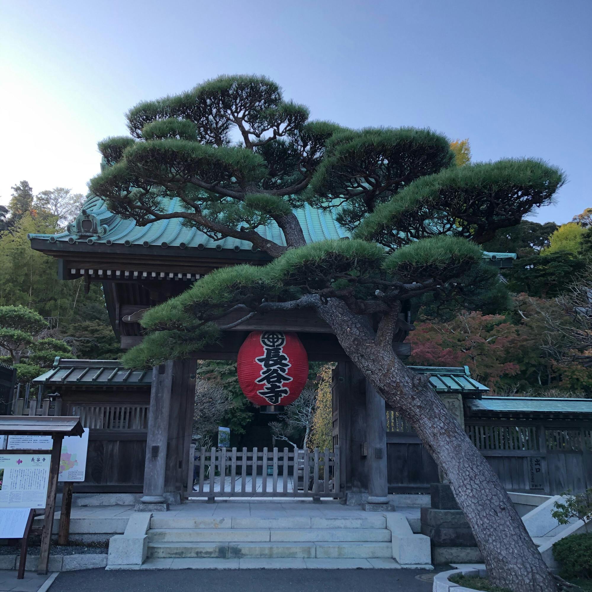 長谷寺の投稿写真 感想 みどころ 長谷寺 11 14正式名称 海光山慈照 トリップノート 長谷寺の投稿写真 感想 みどころ 長谷寺 11 14正式名称 海光山慈照 トリップノート