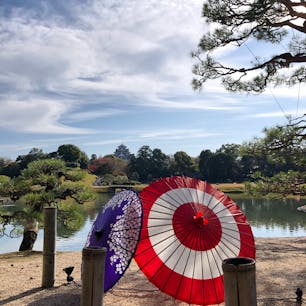 岡山後楽園
秋のライトアップ期間限定で園内の至る所に和傘が設置されています。
ちょうど成人式の前撮りや七五三、結婚式の写真を撮っている方がたくさんいました。
2020/11/15