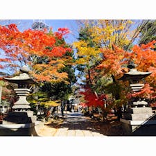 四柱神社　紅葉がすごく綺麗でした