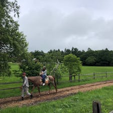 2019/07

野辺山の滝沢牧場
引き馬での親子乗馬は色々なところでやりましたが、個人的にはこちらが一番おすすめです。
距離も長いし、森と牧草の景色もよい