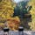 📍東京都｜あきる野市
 ✈︎ 2020.11

［ 秋 川 渓 谷   瀬 音 の 湯 ］

都心から1時間で行ける大自然、
秋川渓谷を眼下に望む温泉「瀬音の湯」。
とろっとした泉質の温泉は
肌がすべすべつるつるになる、とっても人気の温泉！
日帰り入浴も出来るけど、
隣にあるロッジでの宿泊が絶対におすすめ！
ちょうど紅葉の時期で、部屋のテラスから見える大自然の景色は美しかった🍁
