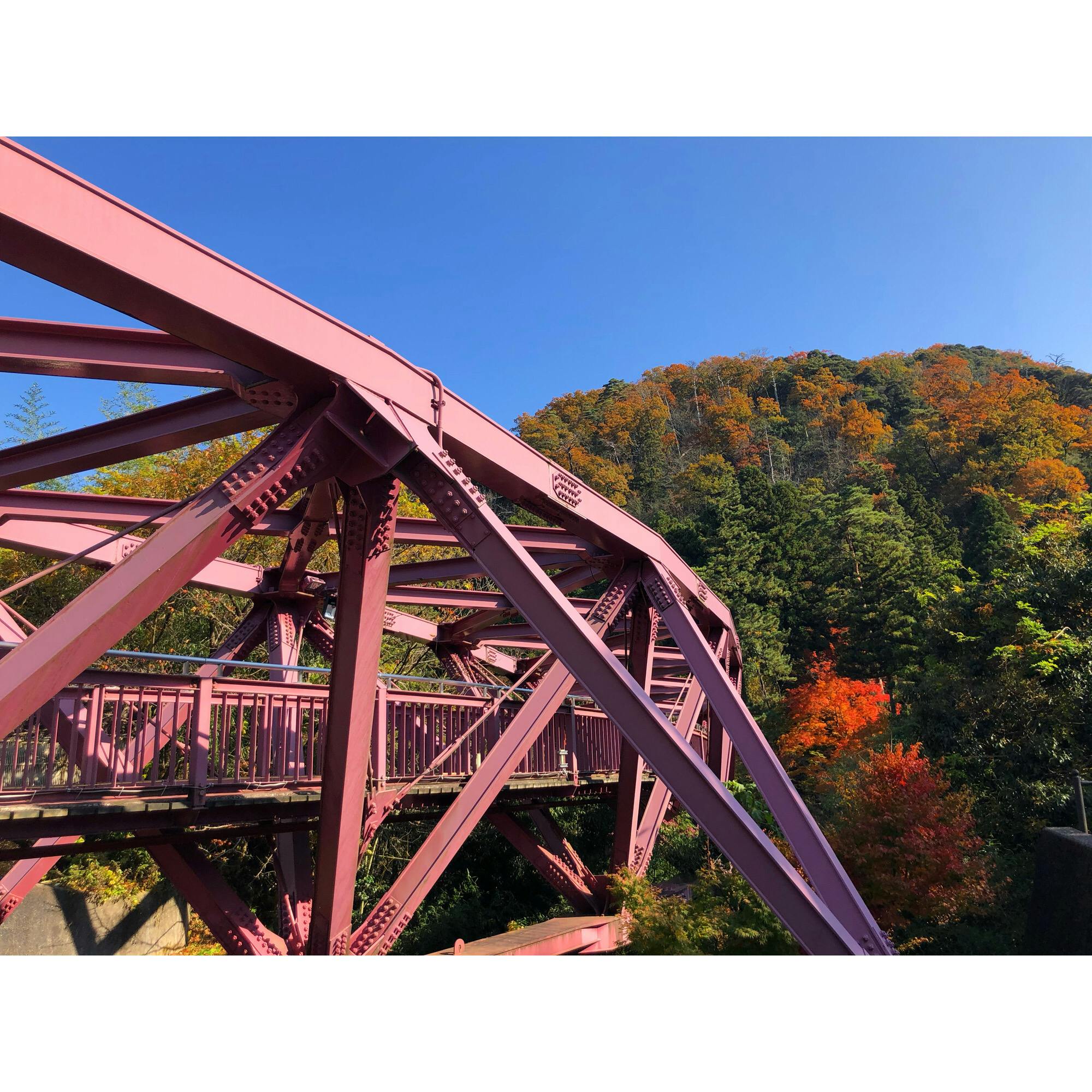 鶴仙渓 かくせんけい の投稿写真 感想 みどころ 紅葉の名所 鶴仙渓 あやとりはしとのコントラストが美しい トリップノート 鶴仙渓 かくせんけい の投稿写真 感想 みどころ 紅葉の名所 鶴仙渓 あやとりはしとのコントラストが美しい トリップノート