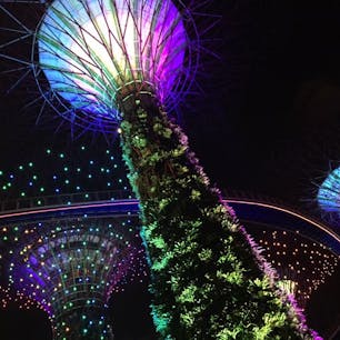 《シンガポール》
ガーデンズバイザベイ

2016.03