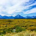 📍 Grand Teton National Park, Wyoming
アメリカのワイオミング州にあるグランドティトン国立公園。
この景色を見ながらのランチが最高だった！