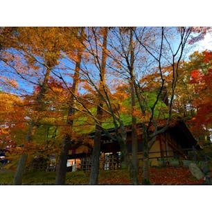 ゆのくにの森は、紅葉真っ盛り！苔の屋根の紅葉のコントラストが綺麗でした。

#石川