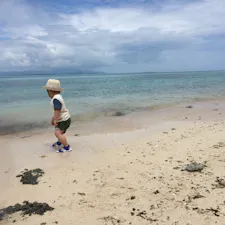 2018/06

星の砂探し