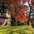 滋賀県西明寺
湖東三山の一つ
苔の緑と紅葉の赤が美しかったです。
2020/11/18